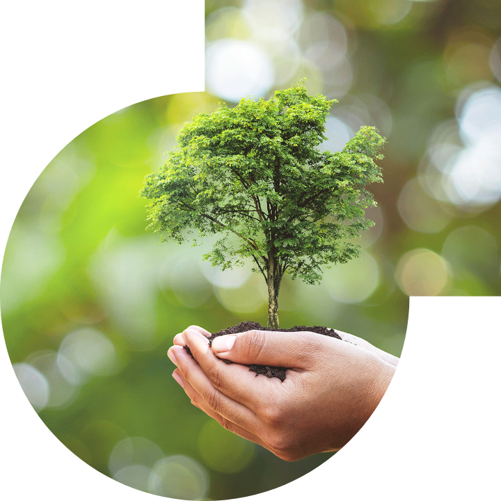 关怀人类、文化、环境与社会